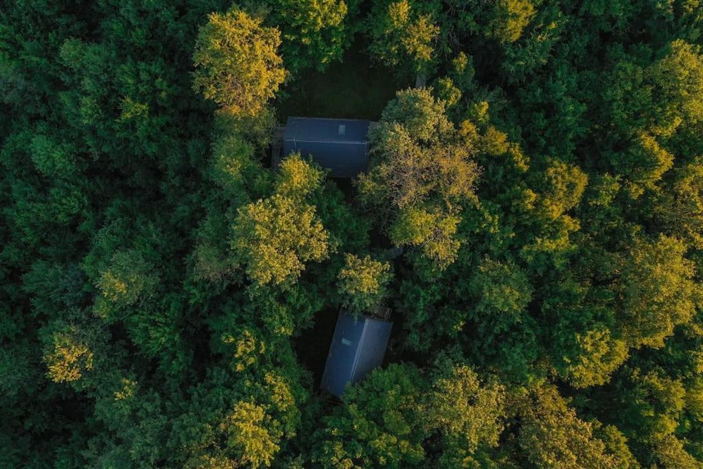 Tree Elements Treehouse Retreat Apartment *