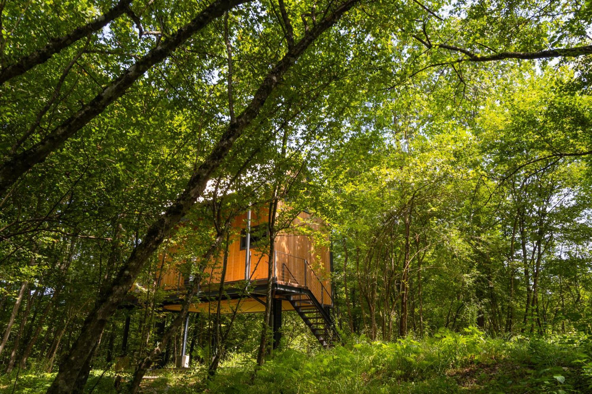 Apartment Tree Elements Treehouse Retreat *