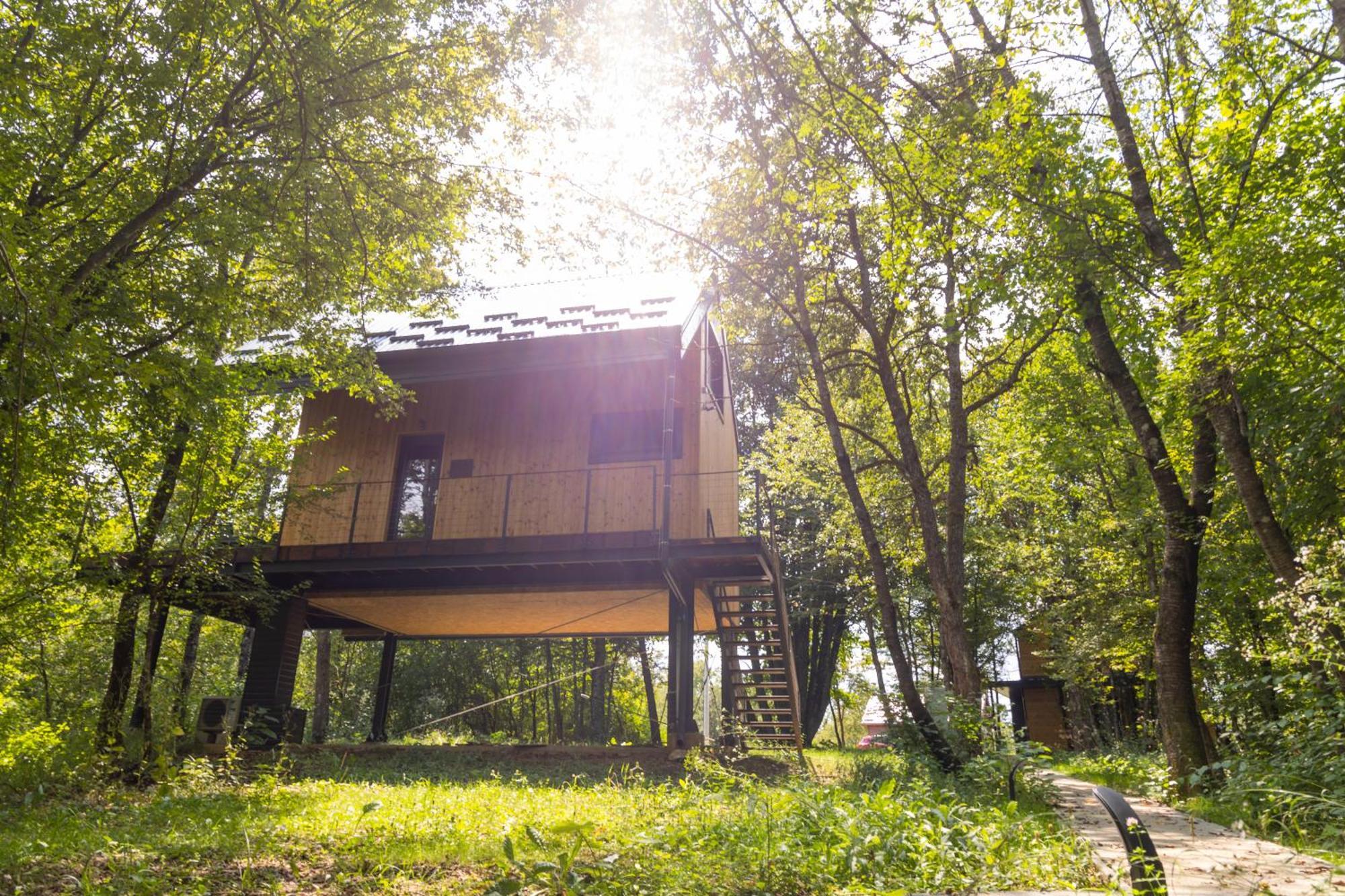 Apartment Tree Elements Treehouse Retreat