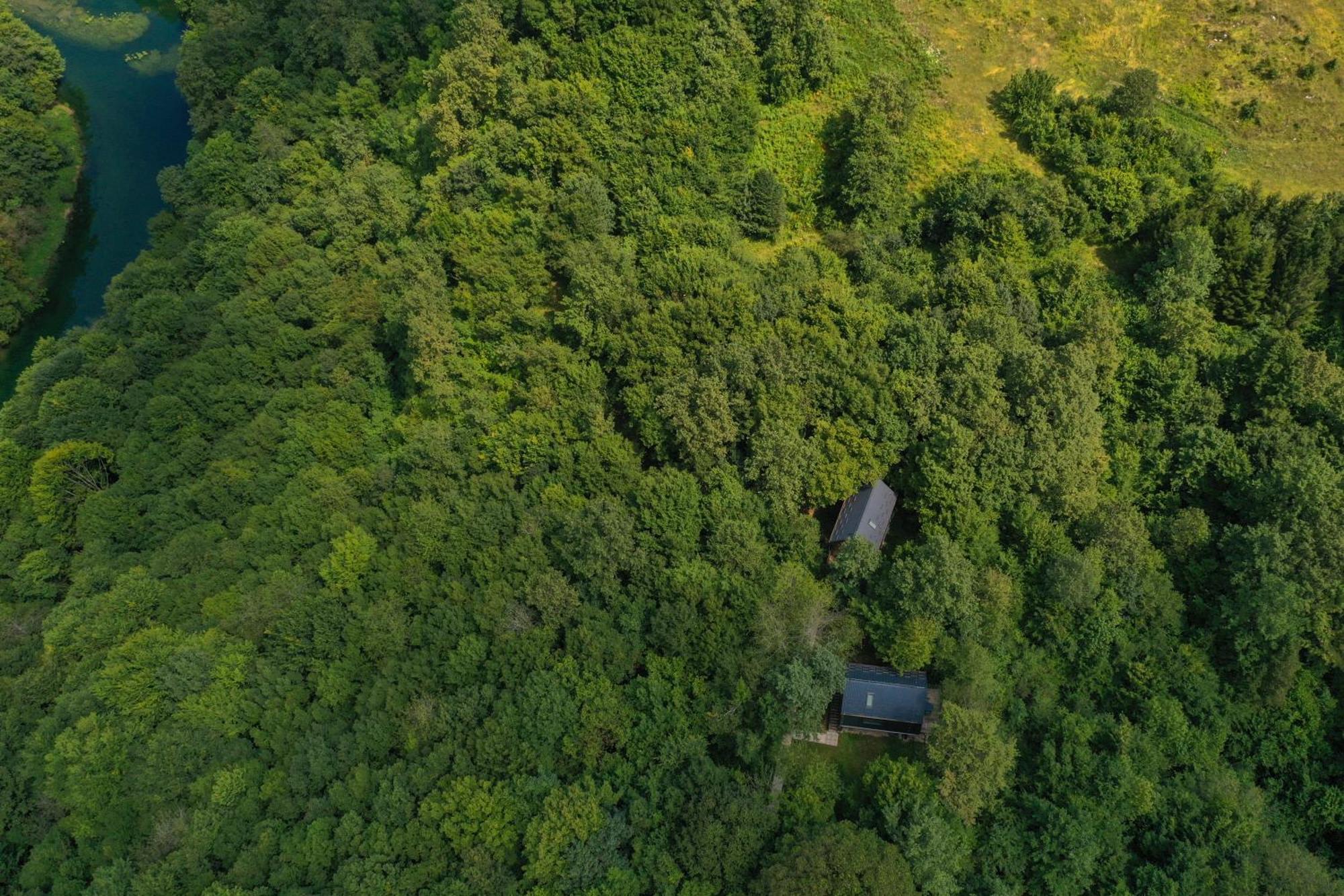 Tree Elements Treehouse Retreat Apartment *