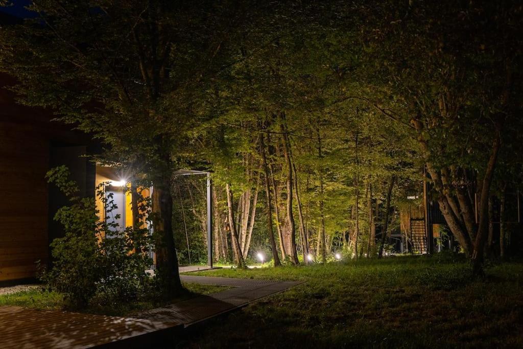 Apartment Tree Elements Treehouse Retreat Slunj