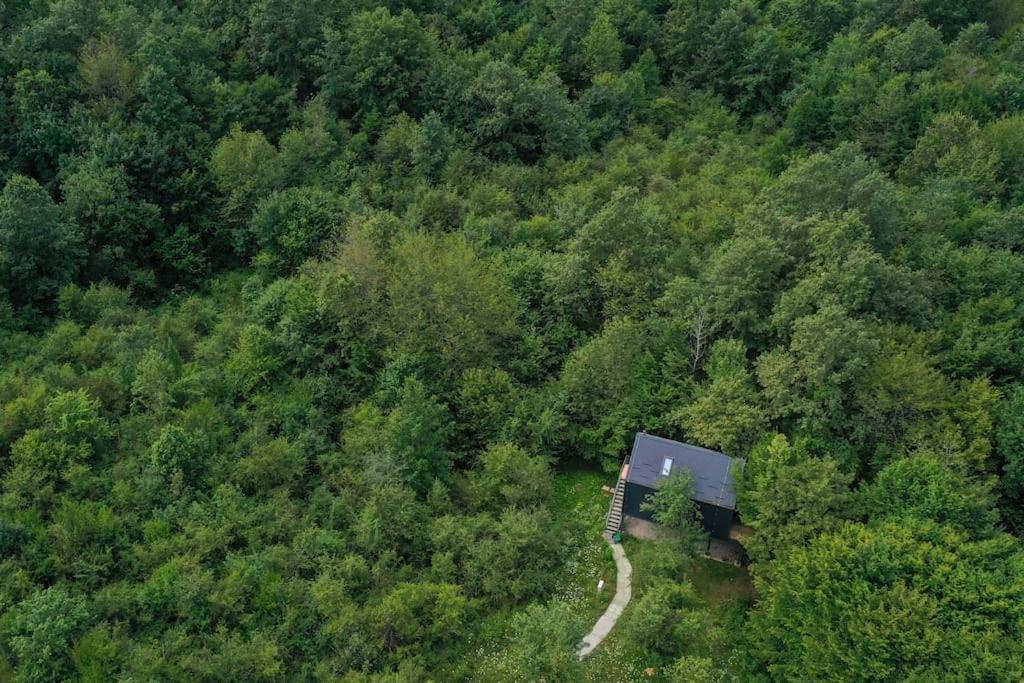 Tree Elements Treehouse Retreat Slunj
