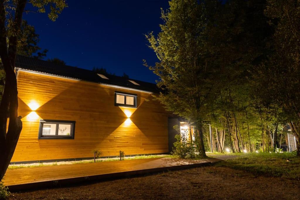 Apartment Tree Elements Treehouse Retreat