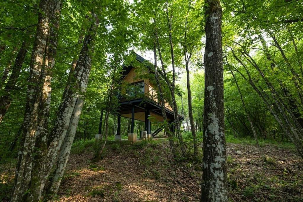 Tree Elements Treehouse Retreat *