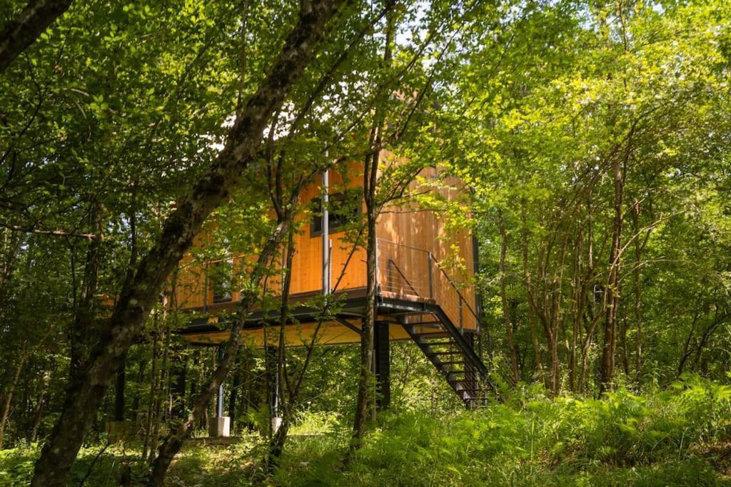 Tree Elements Treehouse Retreat Apartment Slunj