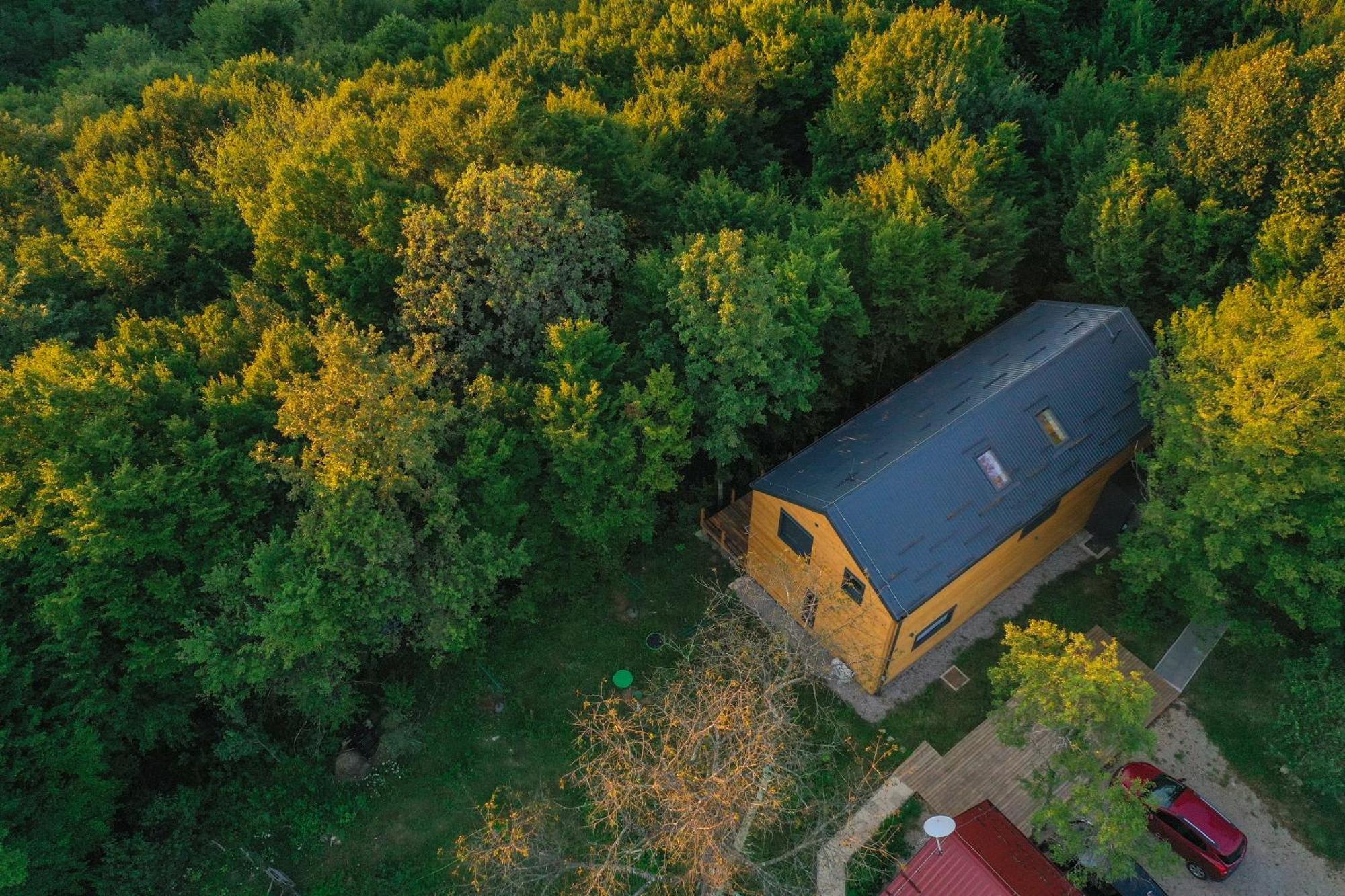 Apartment Tree Elements Treehouse Retreat